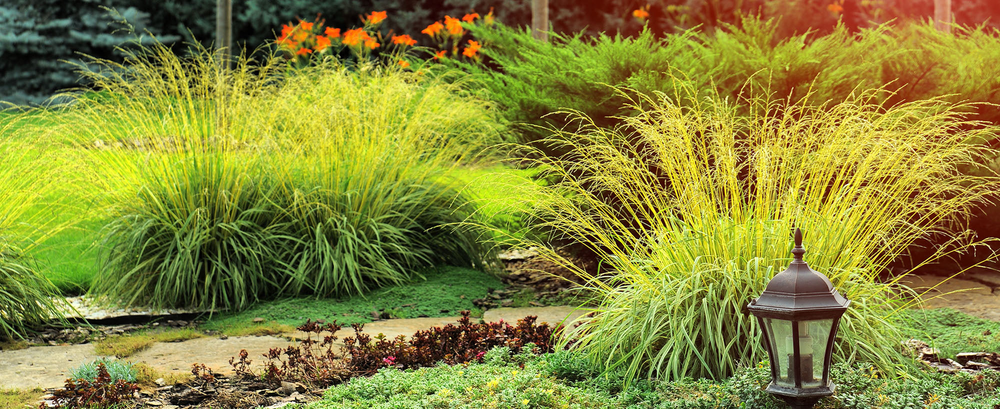 10 Tips for a Beautiful Lawn: A Guide to Lawn Care and Maintenance