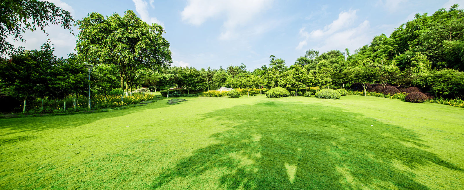 Benefits of Aerating Your Yard in North Carolina