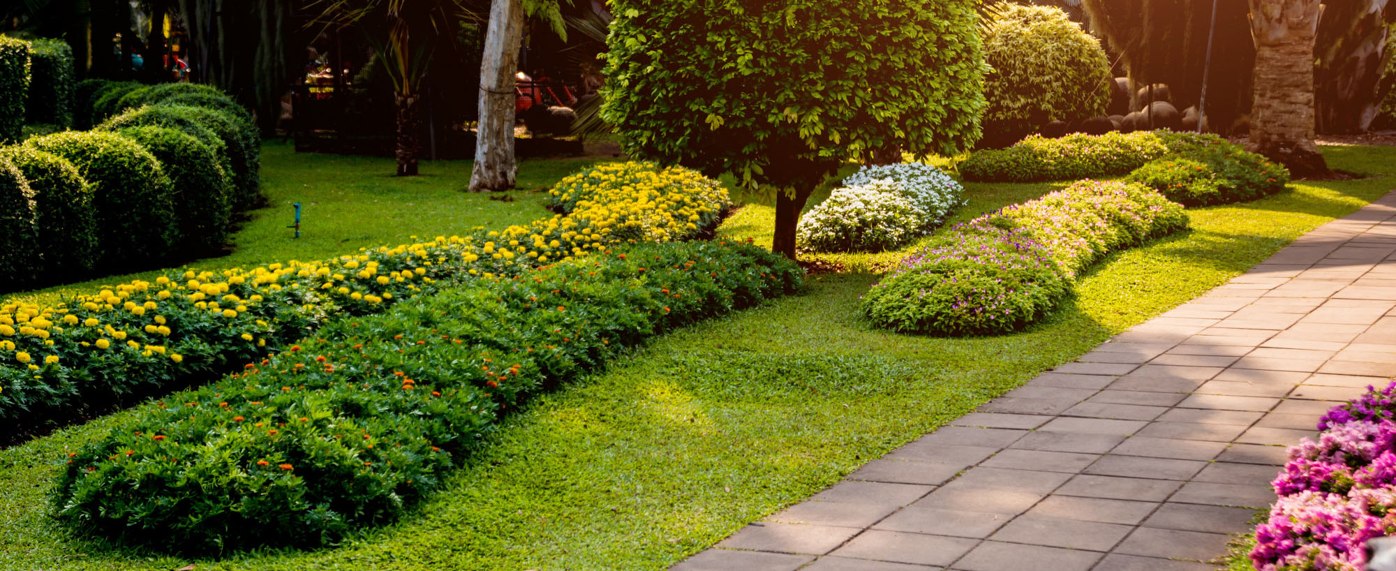 Creating a Low-Maintenance Landscape: Tips for Designing a Yard That Requires Minimal Upkeep.